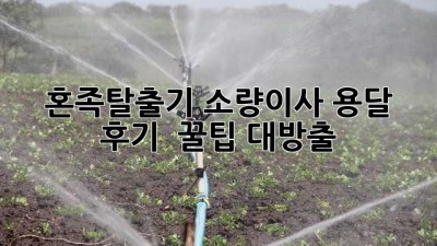 혼족탈출기🏠 소량이사 용달 후기 & 꿀팁 대방출!