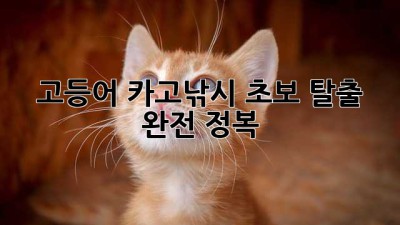 고등어 카고낚시: 초보 탈출 완전 정복!
